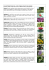 PIANTE VELENOSE def. pdf
