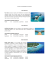 NATALE E CAPODANNO ALLE MALDIVE Atollo Male Sud Fun