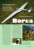2002 Borea Sergio Mantovani - Carlo Simeoni, aeromodellista