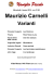 Maurizio Carnelli - Naviglio Piccolo