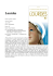 Lourdes - Diocesi di Verona