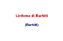 Linfoma di Burkitt (L-B)