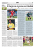 1 - Luzzara calcio