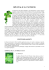 SPECIALE St. PATRICK - irish