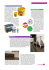 78-81 Mercato-Fiere vetr. ok3_Layout 1