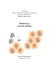 Wardriving e network auditing