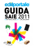 Un-Official Guide SAIE