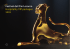 Scarica la brochure - Festival del film Locarno
