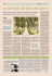 un Baedeker all`ombra dei cipressi