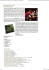 Recensione Epica Celticworld