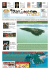 August - Trasimeno Times