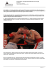 Action fighter: 10 pugili imperdibili della boxe di oggi