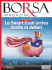 Visualizza - Societe Generale