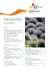 Newsletter