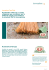 Rustichella d`Abruzzo innovaphone Case Study Rustichella d