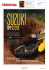 rm-z250-450-450z_motocross - 2013-10
