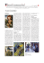 pdf - Fondazione Internazionale Menarini
