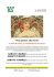 ALFONS MUCHA ART NOUVEAU