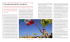 east43_I_fondamentalisti_moderni