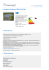 Logistics Platform DECATHLON