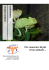 Camaleonti - Clinica Veterinaria Omniavet