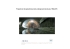 Projects list of geotechnical and underground