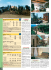 Azienda Agricola Alle Rose Hotel Le Renaie Pacchetti Speciali