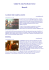 Golden Mt. Zion Post-Rock Festival Biografie