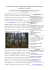 LA FORESTA SECOLARE - Provincia di Forlì