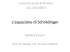 L`equazione di Schrödinger e la particella in una scatola