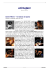 scarica quest`articolo in formato pdf