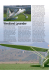 Westland Lysander - Home page di Paolo Severin