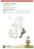Amanita virosa: