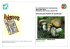 Raccogliere funghi in sicurezza