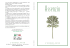 Assenzio - Erboristeria Arcobaleno