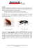 Le blatte BLATELLA GERMANICA BLATTA ORIENTALIS