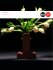 FLORERO SHIVA ––––––––––––––––––––––––––––––– Ettore