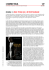 L`Asino Vola - cinema - Gran Torino con e di Clint Eastwood