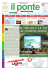 Il Ponte News