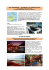 Programma di Viaggio in formato Pdf