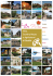 Ville, Country House e Agriturismi di Qualità