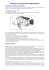Biologia ed ecologia della Tilapia Nilotica
