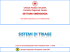Sistemi di triage - Www Formatori Veneto It