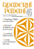 Scarica PDF