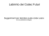 Labirinto dei Codec Futuri