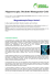 Magnetoterapia: Dischetto Biomagnetico Gold