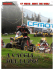 cf moto hunt the wolf rom cf moto hunt the wolf rom