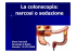 La colonscopia: narcosi o sedazione