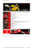 scheda ducati 748R