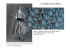 pdf, 3,22 MB - Archivi della moda del novecento